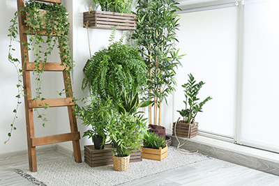 Eco-Style Focal Points Eco-Style Focal Points